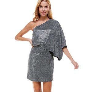 TCEC Shimmering Gray One-Shoulder Dress